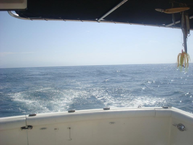 Vistas desde el barco